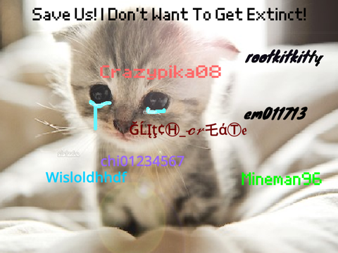 Sign If You Hate Animal Cruelty (og is by @rootkitkitty) remix remix remix remix