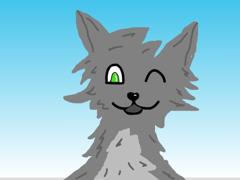 My drawing is not sooo good...