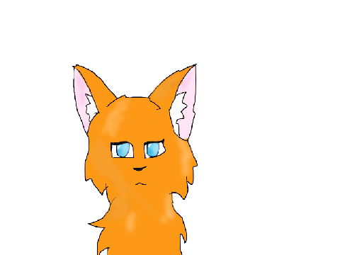 My first Firealpaca!