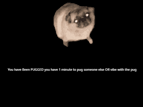 Pugged