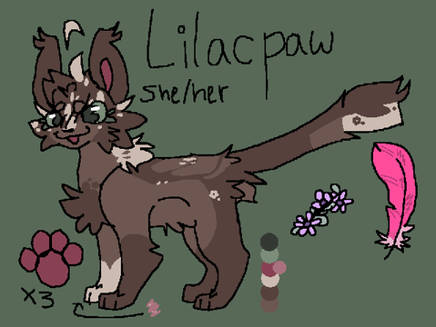 [OUTDATED] Lilacpaw reference | summer 2023