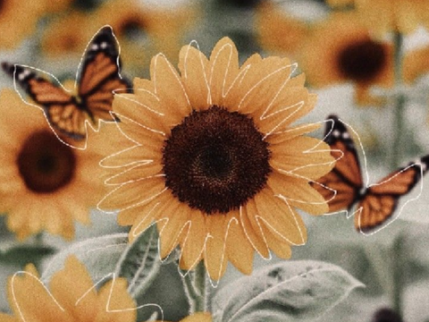 ♥
