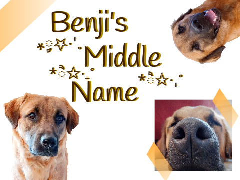 CLOSED CONTEST: Benji's Middle Name!