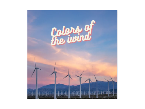 Colors of the wind audition