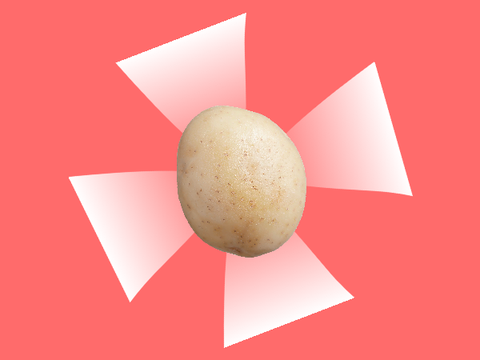 Potato