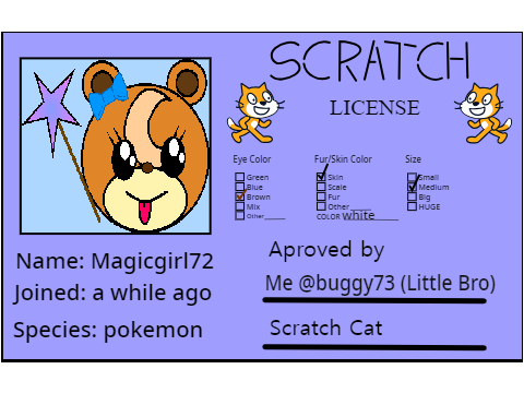 Make Your Own Scratch License remix