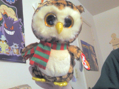 Wise the Owl (Beanie Boo)