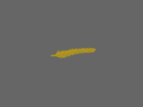 Feather