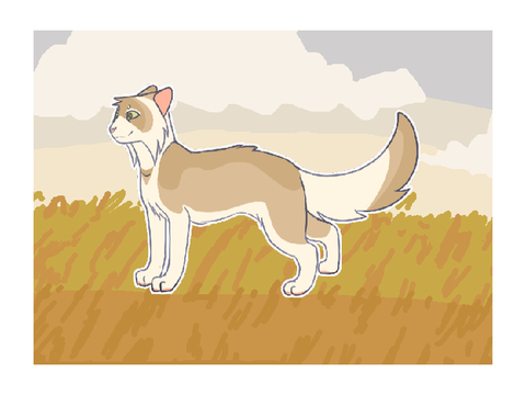 Kabiko ref
