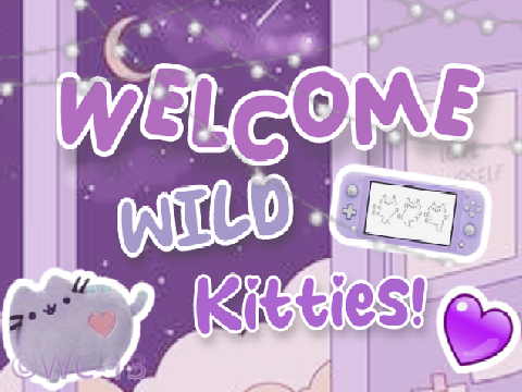 My Banner
