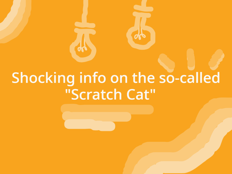 Shocking info about "Scratch Cat"