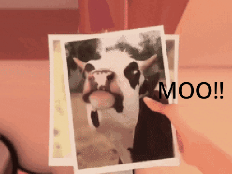 I LOVE MOO!! (Miraculous)