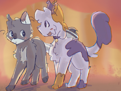 Random Cats 