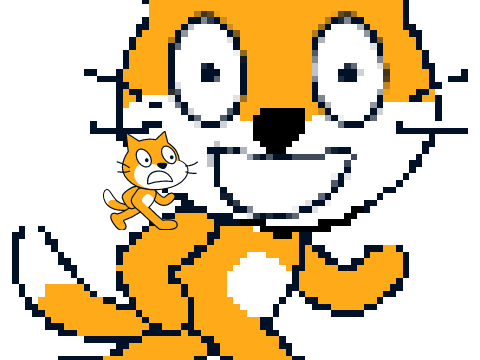 crazy cat