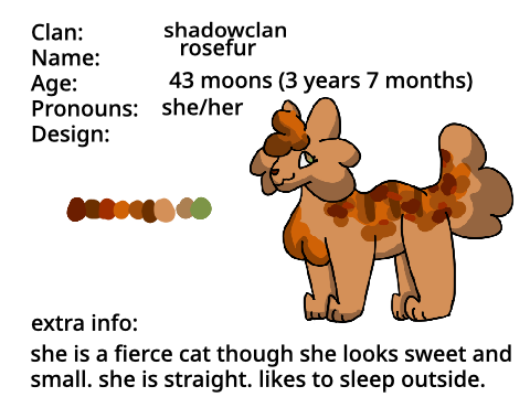 CAMEOS OPEN AGAIN / Would you like to be in my graphic novel? / Warrior Kittens remix