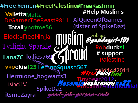Sign if you are Muslim and PROUD!  remix remix remix remix