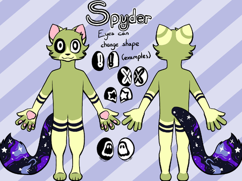 Spyder REF