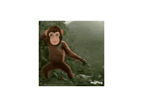 dancing monkey