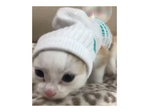 Why he so