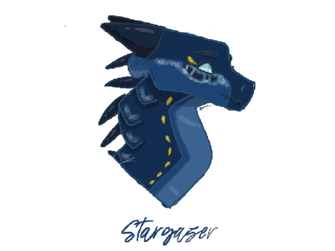 Stargazer