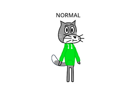My OC Complitation