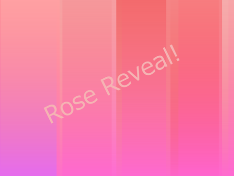 Rose Reveal! 