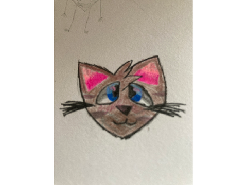 Oakpaw art+ Comic