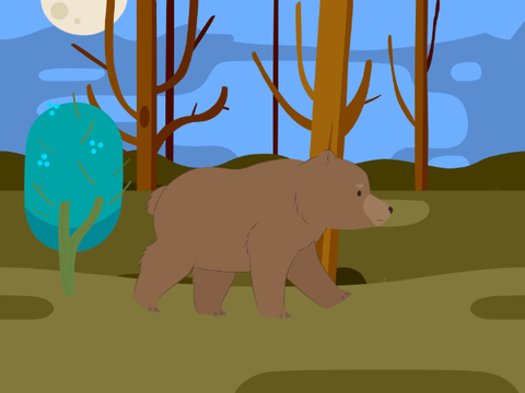 A Stroll Through The Woods