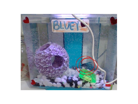 FISHY <3  :D