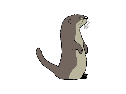 otter tracing edit