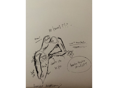 Practicing anatomy for next school year!
