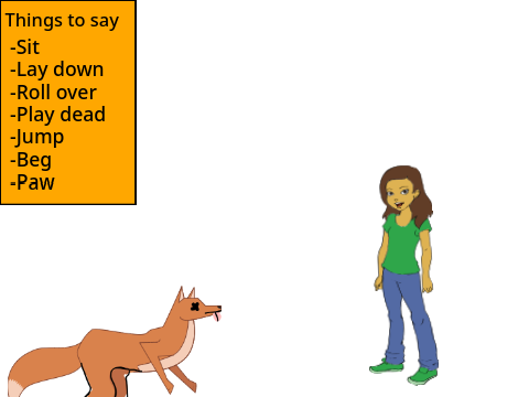 Train your fox!