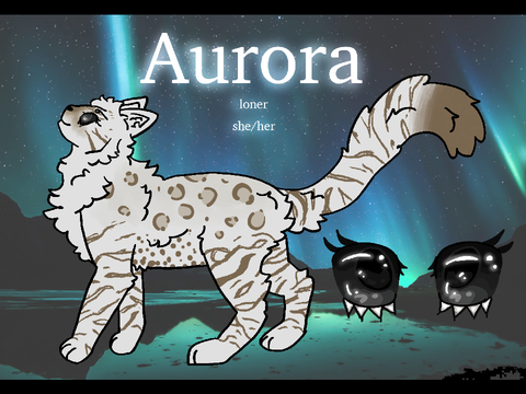 aurora reference - summer 2023