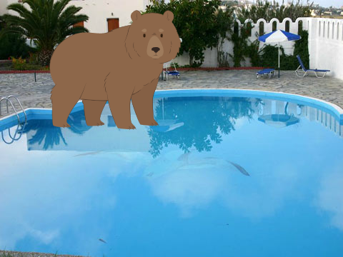 When there's a bear at the pool