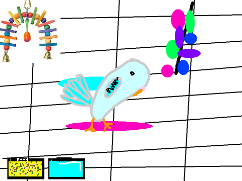 Your Pet Budgie