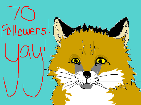 70 FOLLOWERS!!