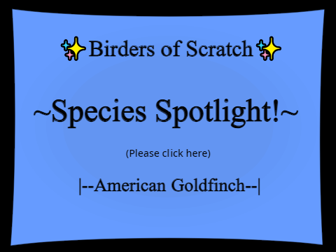 American Goldfinch!