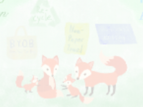 Foxy | entry for @CampingUK’s 500+ anything contest