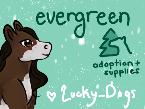 Evergreen Adoption and Supplies
