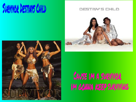 Destiny's Child - Survivor. remix