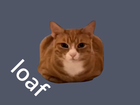 cat loaf - an animation