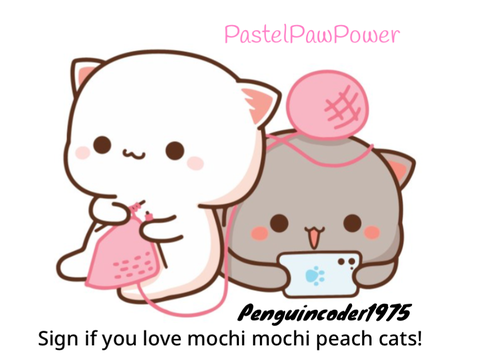 Peach cat