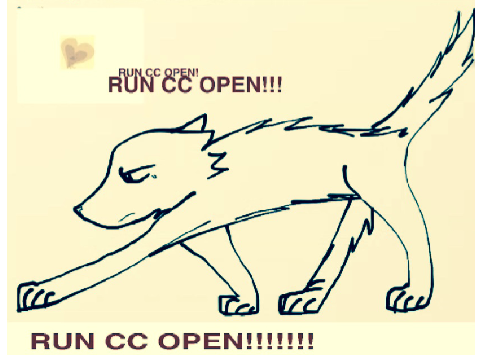 Run CC ⚫️OPEN⚫️!!!!!!!