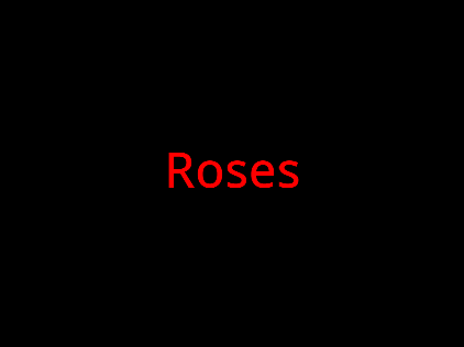 ROSES - a little trashy