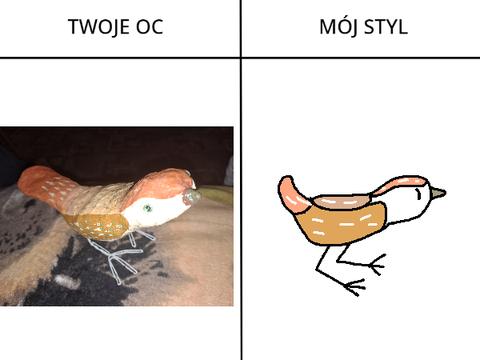 Ptok