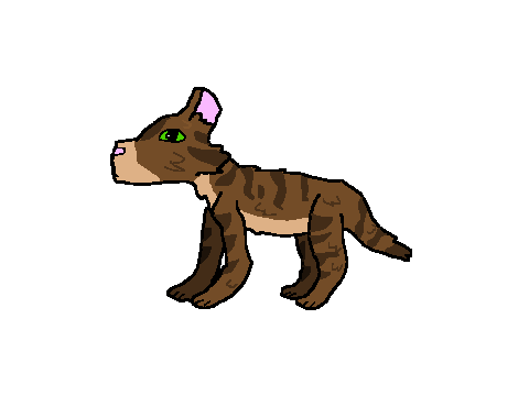 a warrior cats oc because i can