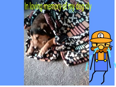My dog has past