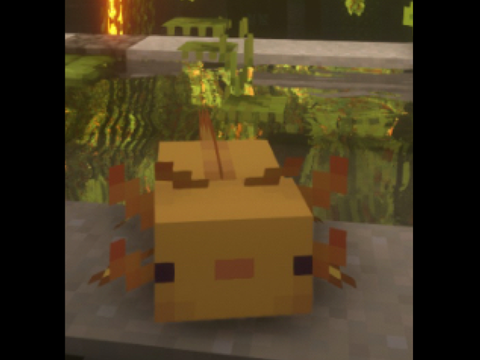 New profile pic :D