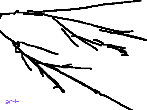Untitled-11b dump2