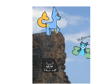 adventure cliff cat